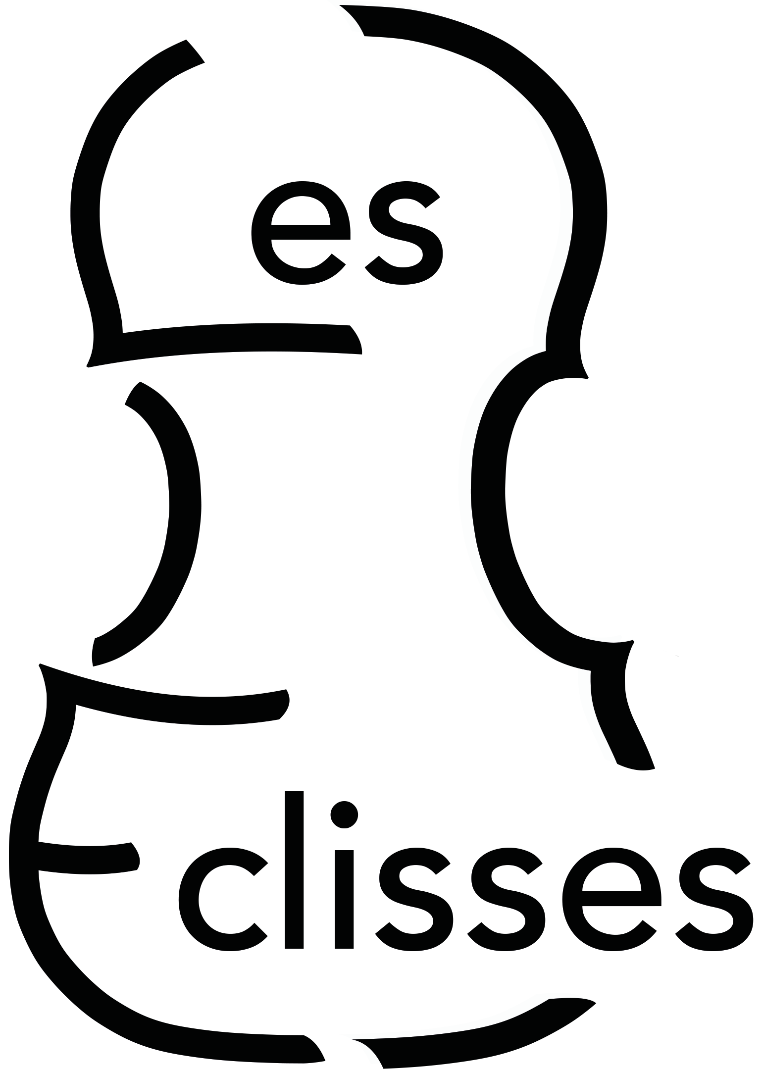 les éclisses simplifié noir