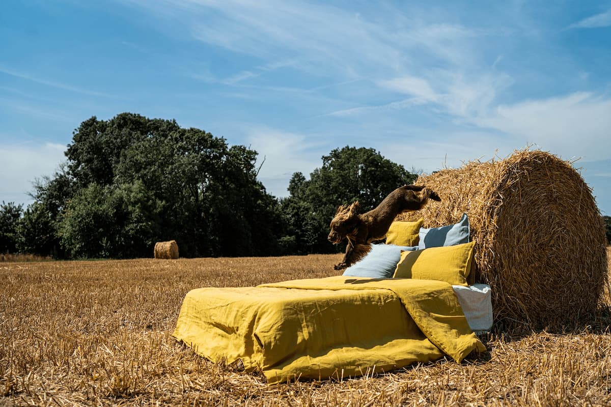 linge de lit (2) (1)